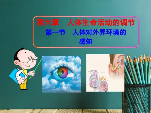 人体对外界环境的感知PPT课件