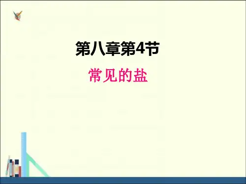科粤版九年级化学下册课件8.4 常见的盐