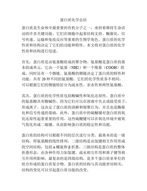 蛋白质化学总结