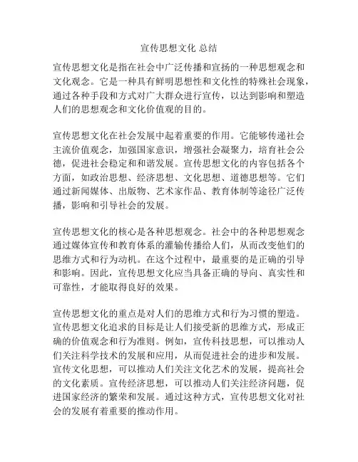 宣传思想文化 总结
