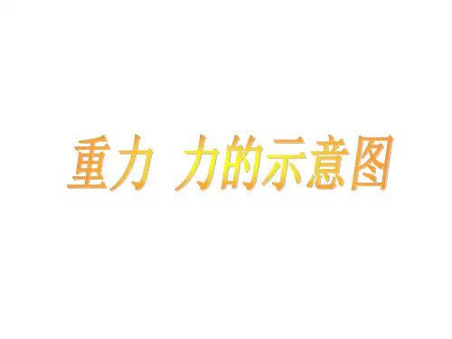 初中物理力的示意图ppt