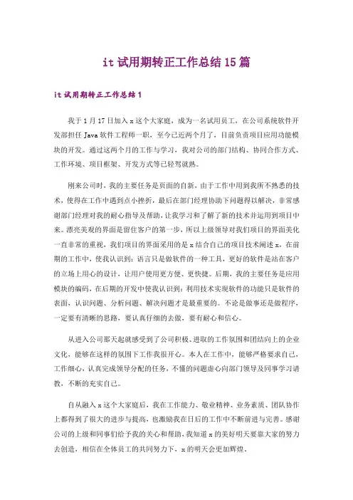 it试用期转正工作总结15篇