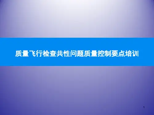 质量飞行检查共性问题质量控制要点培训