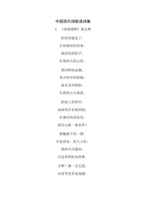中国现代诗歌选诗集