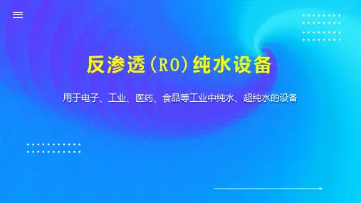 反渗透(RO)纯水设备