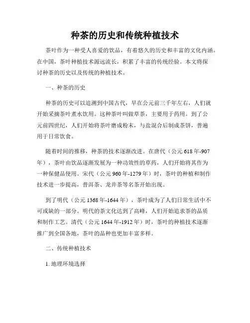种茶的历史和传统种植技术