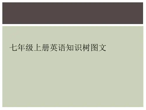 七年级上册英语知识树图文
