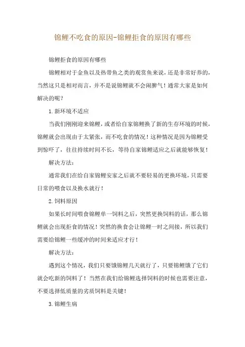 锦鲤不吃食的原因-锦鲤拒食的原因有哪些