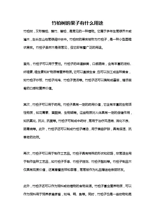 竹柏树的果子有什么用途