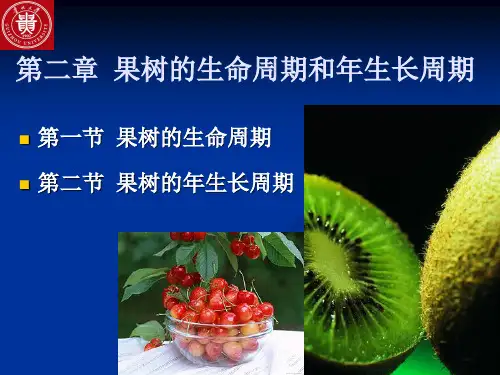 第二章++果树的生命周期和年生长周期