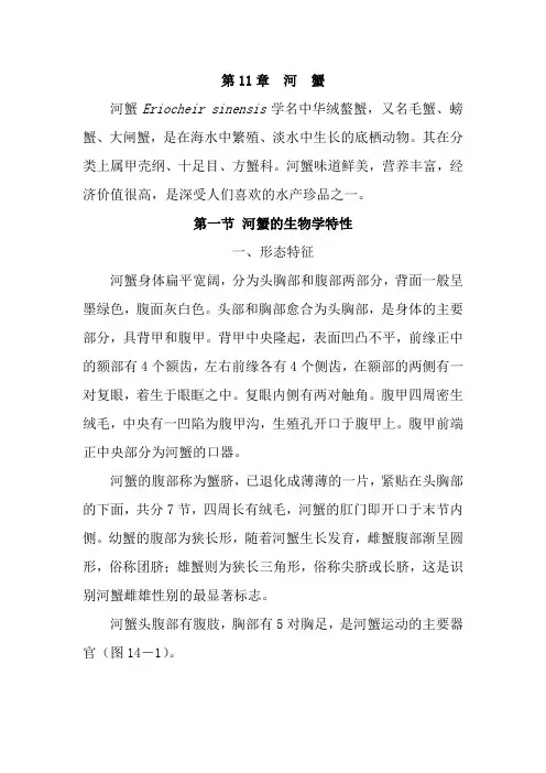 河蟹