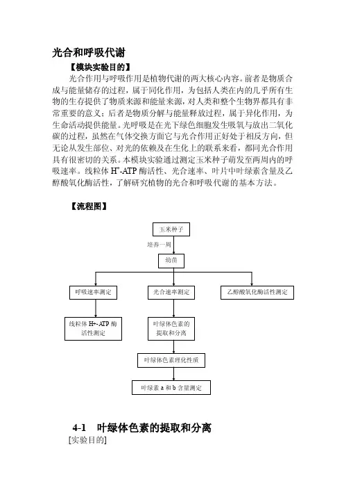 叶绿体色素的提取分离及其理化性质的鉴定实验[整理]