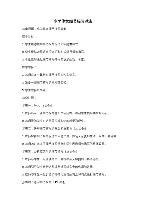 小学作文细节描写教案