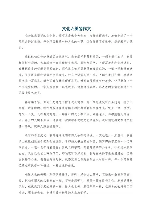 文化之美的作文
