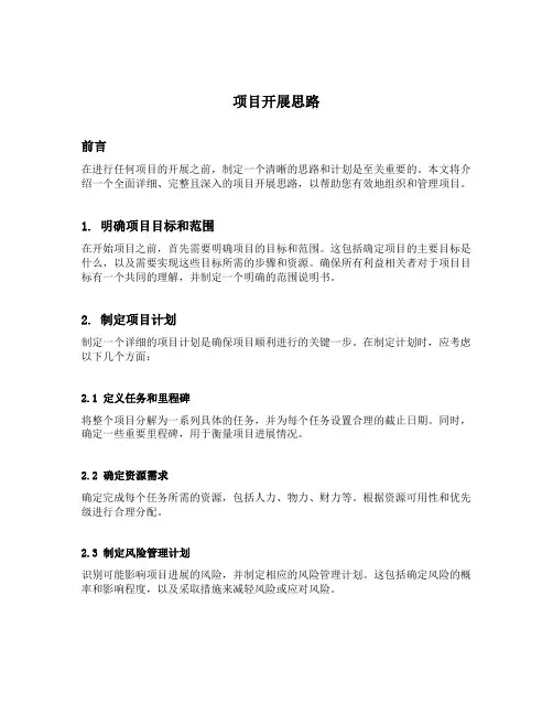 项目开展思路怎么写