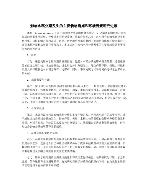 影响水稻分蘖发生的主要栽培措施和环境因素研究进展