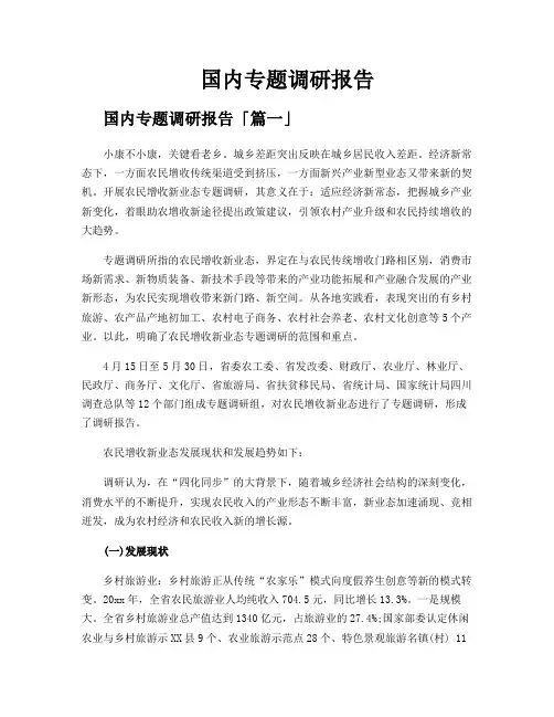 国内专题调研报告
