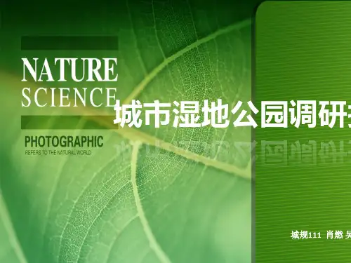 湿地公园调研报告7.10