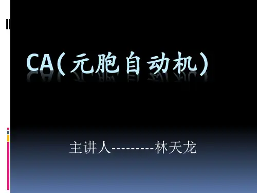 元胞自动机---林天龙
