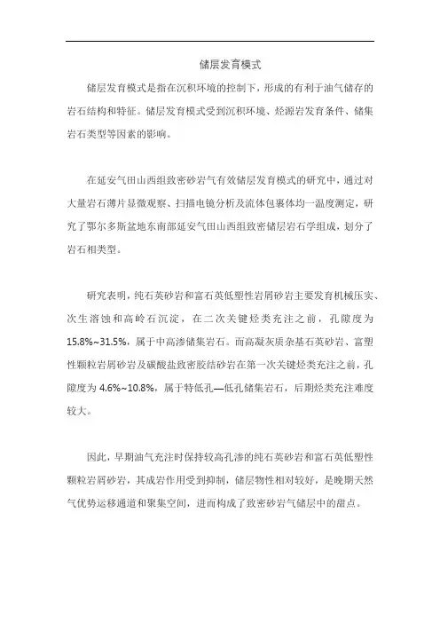 储层发育模式