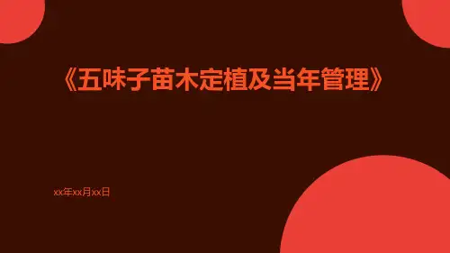 五味子苗木定植及当年管理