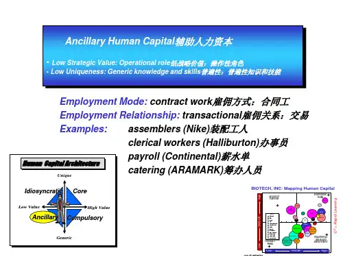 辅助独特的人力资本