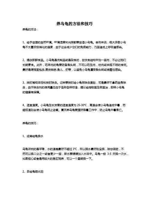 养乌龟的方法和技巧