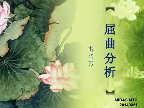 屈曲分析-雷晋芳