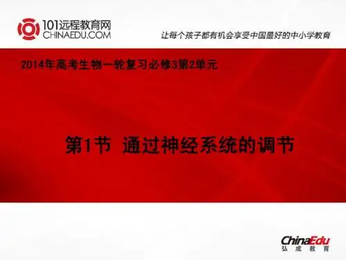 2014年高考一轮复习必修3 2.1通过神经系统的调节