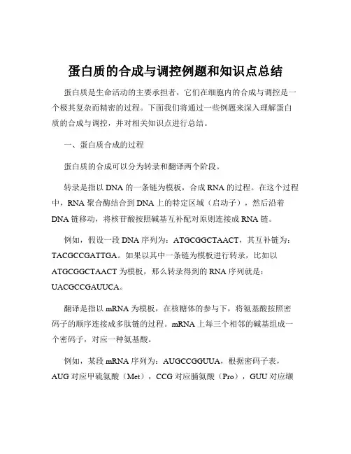 蛋白质的合成与调控例题和知识点总结