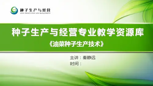 油菜三种类型比较.