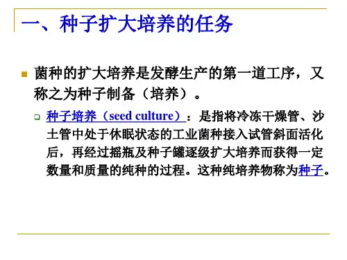 种子的扩大培养