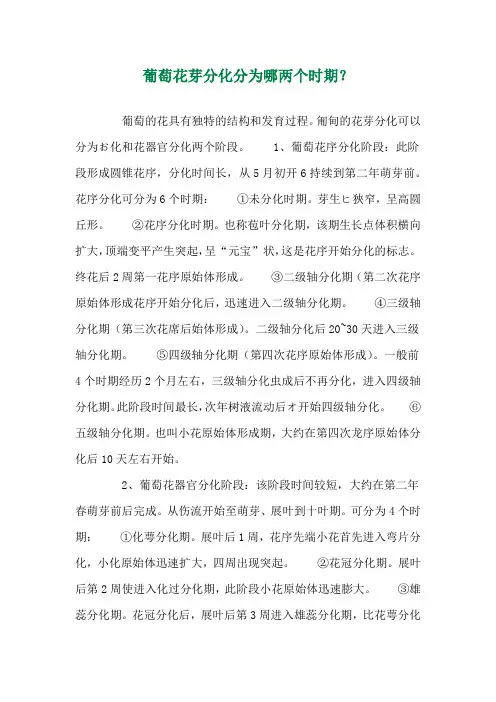 葡萄花芽分化分为哪两个时期？ 