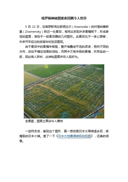 俄罗斯神秘图案麦田圈令人惊异