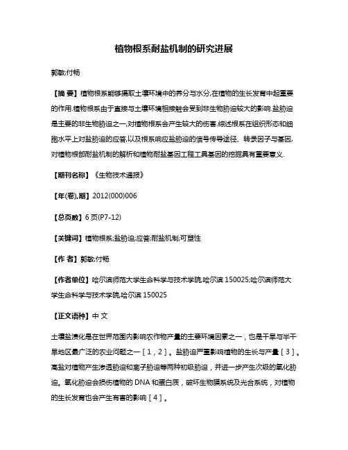 植物根系耐盐机制的研究进展