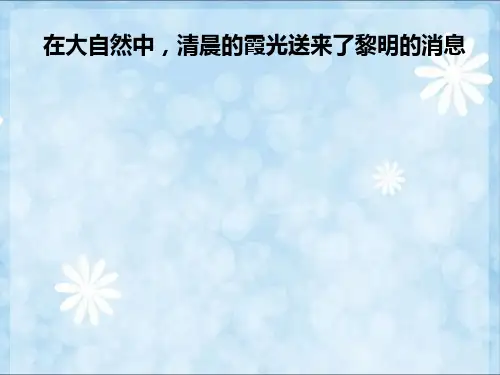 人教版小学五年级语文第六单元综合性学习—走进信息世界(精华版)课件PPT