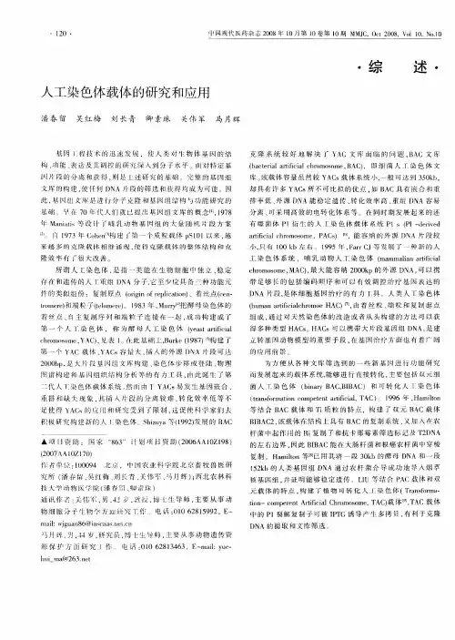 人工染色体载体的研究和应用