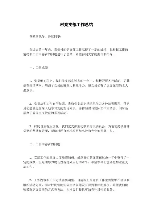 村党支部工作总结