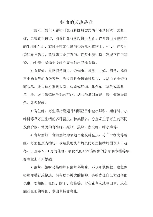 蚜虫的天敌是谁