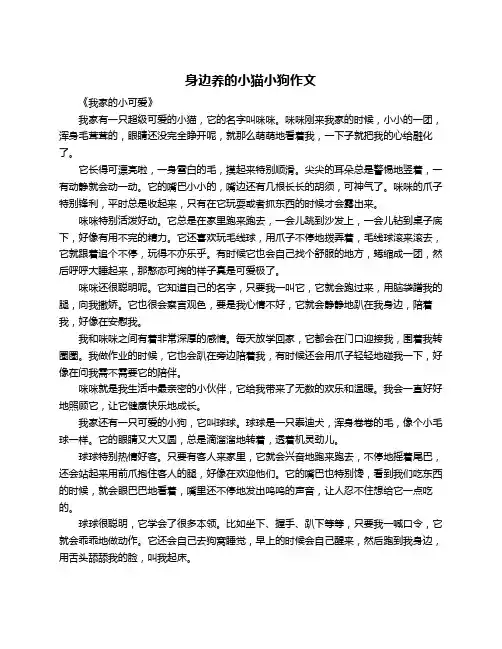 身边养的小猫小狗作文