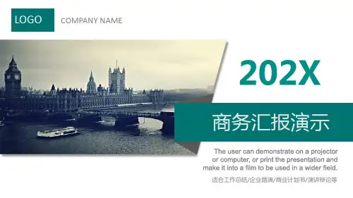 202X商务汇报演示适合工作总结企业路演商业计划书演讲辩论PPT模版