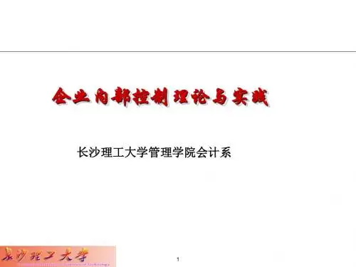 企业内部控制理论与实践ppt课件