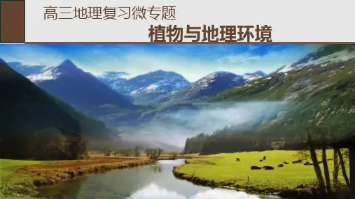 公开课：植物与地理环境-地理