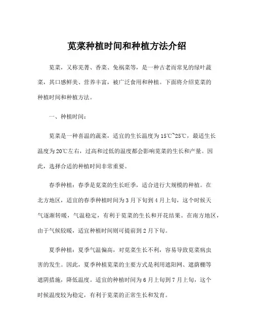 苋菜种植时间和种植方法介绍