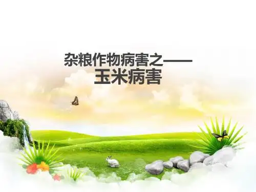 杂粮作物病害之玉米病害