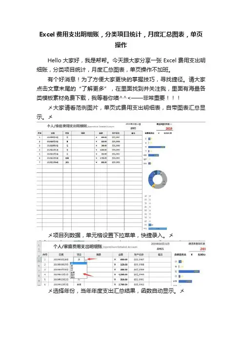 Excel费用支出明细账，分类项目统计，月度汇总图表，单页操作