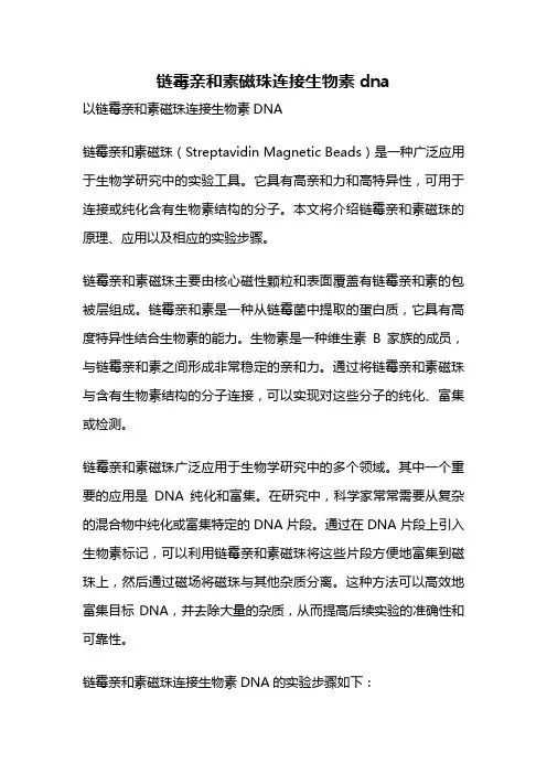 链霉亲和素磁珠连接生物素dna