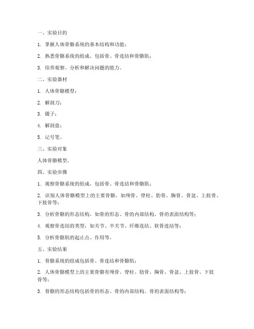 解剖_实验报告