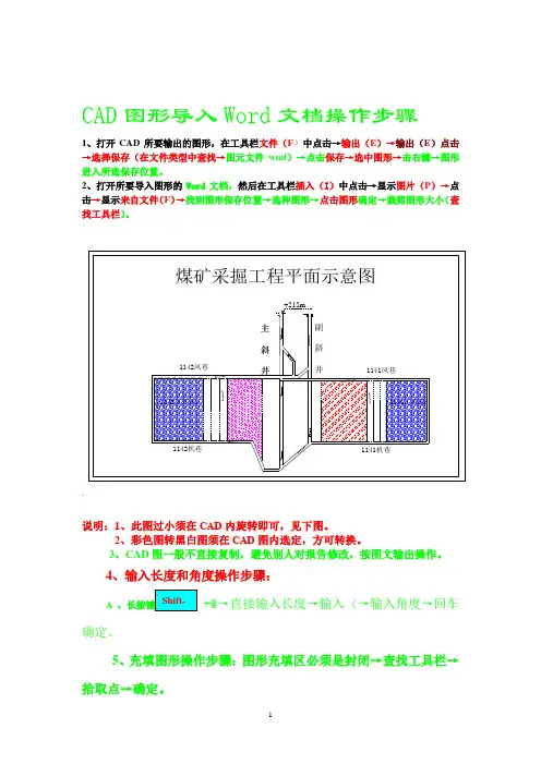CAD图形导入Word文档操作步骤