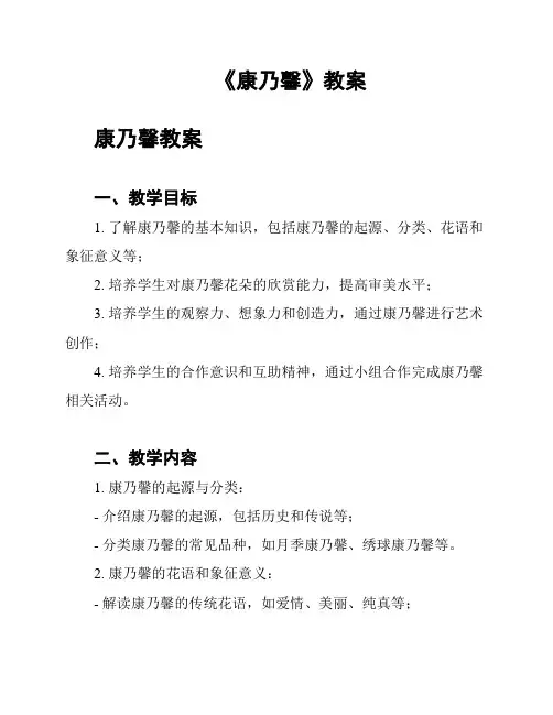 《康乃馨》教案